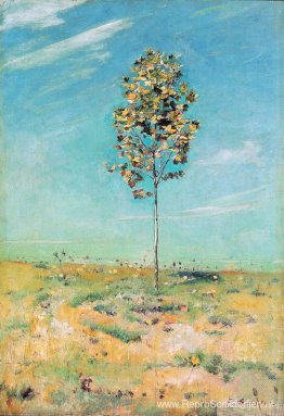 De Kleine Plantaan De Kleine Plantaan