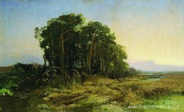 Pijnboombos in het moeras Pijnboombos in het moeras