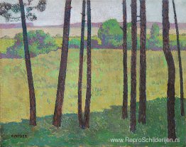 Uitzicht op stammen Uitzicht op stammen