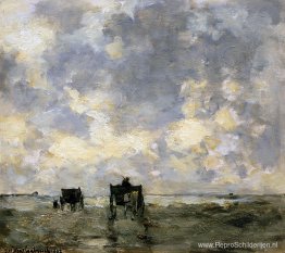 Schelpkarren op het strand Schelpkarren op het strand