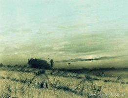 Stoppelveld Stoppelveld