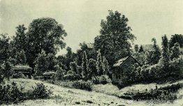 Landschap Landschap