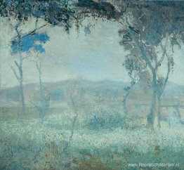Landschap Landschap