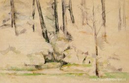In het bos In het bos