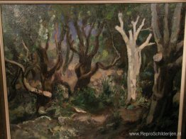 De Witte Boom De Witte Boom