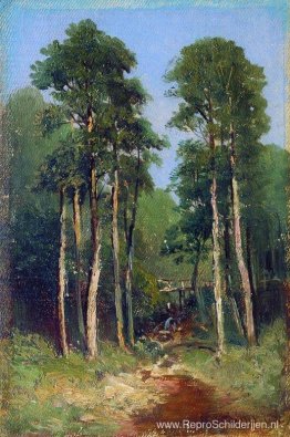 Bos stroom Bos stroom