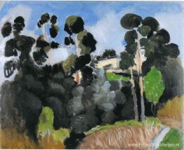 Landschap Landschap
