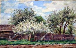 Tuin in bloei Tuin in bloei