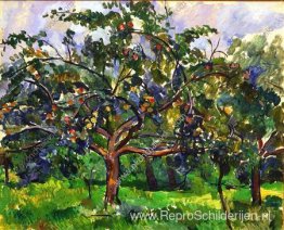 Appelbomen Appelbomen