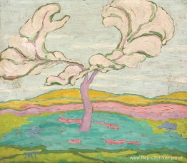 Bloeiende kersenboom Bloeiende kersenboom