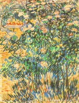 Bloeiende struiken Bloeiende struiken