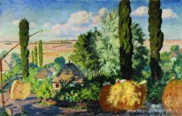 Oekraïens landschap Oekraïens landschap