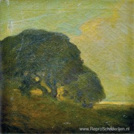 Landschap Landschap