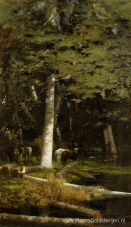 In het bos In het bos