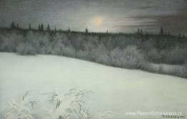 Nieuwjaar Nieuwe Maan Nieuwjaar Nieuwe Maan
