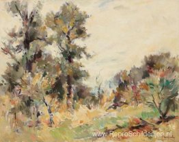 Zomer landschap Zomer landschap