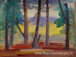 Landschap Landschap