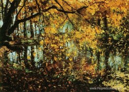 Coesweerd In Laren In De Herfst Coesweerd In Laren In De Herfst