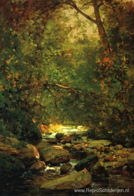 Stroom in de boswinter Stroom in de boswinter