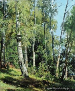 Berkenbos Berkenbos