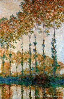 Populieren aan de oevers van de Epte, herfst Populieren aan de oevers van de Epte, herfst