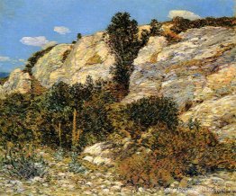 Lyman's Richel, Appledore Lyman's Richel, Appledore