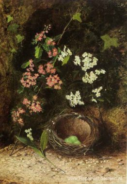 Stilleven van vogelnest met primula's en bloesem Stilleven van vogelnest met primula's en bloesem