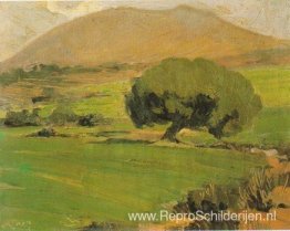 Landschap van Attica Landschap van Attica