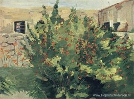 Bloeiende granaat Bloeiende granaat