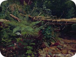Landschap Landschap