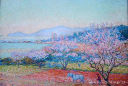 De Amandelbloemen De Amandelbloemen