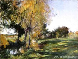 Landschap op Broadway Landschap op Broadway