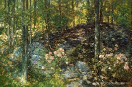 Laurier op de richels Laurier op de richels