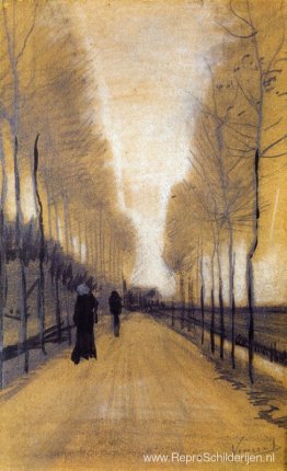 Steegje Omzoomd Door Bomen Steegje Omzoomd Door Bomen