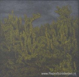 Farnlandschaft Farnlandschaft