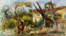 Landschap Landschap