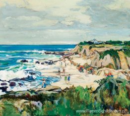 La Jolla-kusten La Jolla-kusten