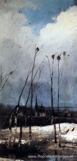 De Rooks zijn gearriveerd De Rooks zijn gearriveerd