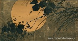 Herfstgrassen in maanlicht Herfstgrassen in maanlicht