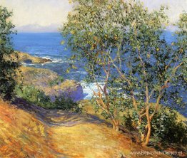 Indiase tabaksbomen, La Jolla Indiase tabaksbomen, La Jolla