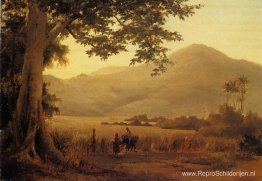 Antiliaans landschap, St. Thomas Antiliaans landschap, St. Thomas