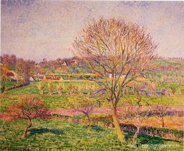 Grote notenboom in Eragny Grote notenboom in Eragny