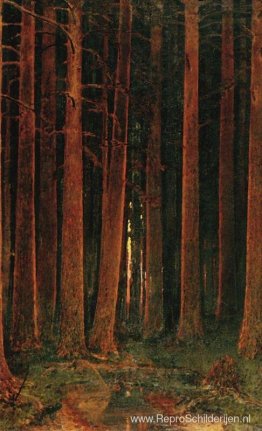 Zonsondergang in het bos Zonsondergang in het bos