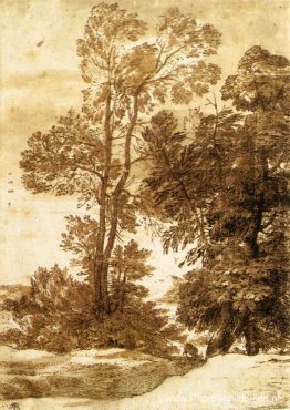 Bomen Bomen