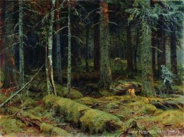 Donker bos Donker bos