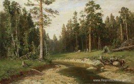 Mastboombos Mastboombos