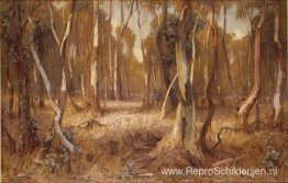 Zon en schaduw Zon en schaduw