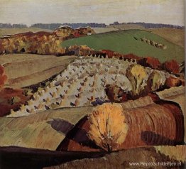 Landschap Landschap