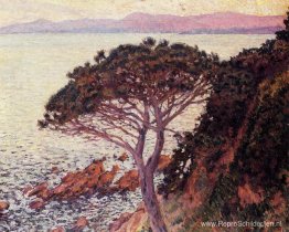 Zonsondergang Zonsondergang