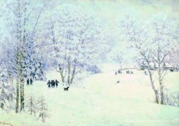 Russische winter. Ligachevo Russische winter. Ligachevo